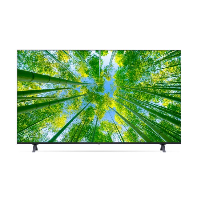 LG전자 울트라HD 2022 LED 울트라 HD 4K 163cm (65UQ8300ENF)