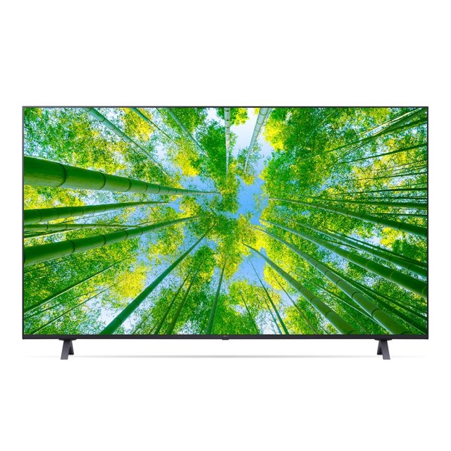 LG전자 울트라HD 2022 LED 울트라 HD 4K 163cm (65UQ8300NNF)